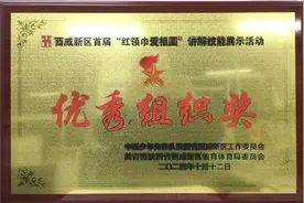沣东九小西咸新区首届“红领巾爱祖国”讲解员技能展示活动中喜获荣誉！图片
