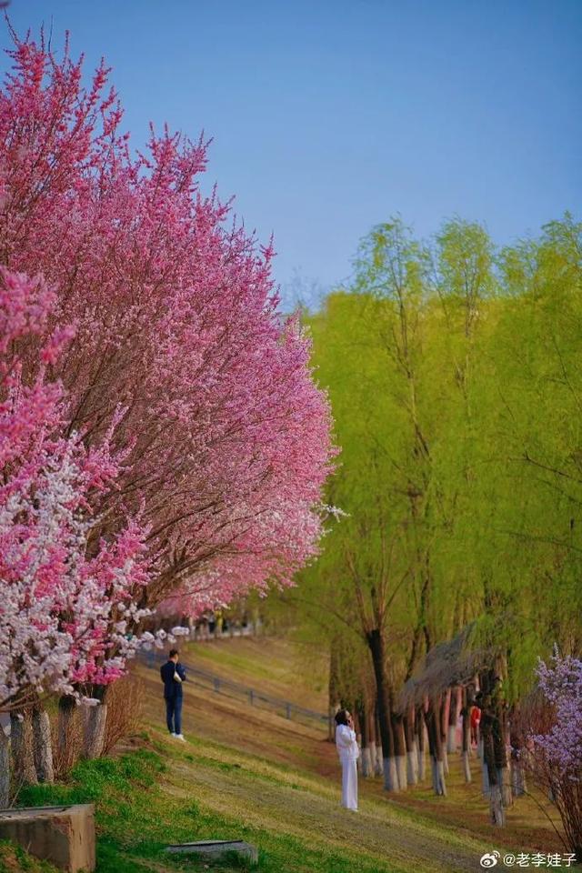 治理一条河，激活一座城 | 水韵织诗意、绿道载活力、烟火酿幸福 藏在伊通河畔的城市宜居密码
