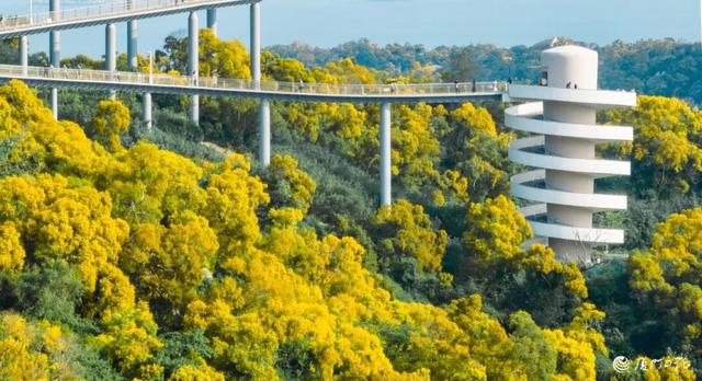 以生态为笔 在山海交响里描绘动人新画卷