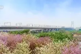 乘坐高铁赏花、打卡江畔公路 新业态新场景为“春经济”注入新活力图片