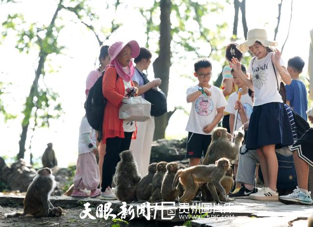 G视觉｜开学倒计时，贵州亲子游避暑游热度不减