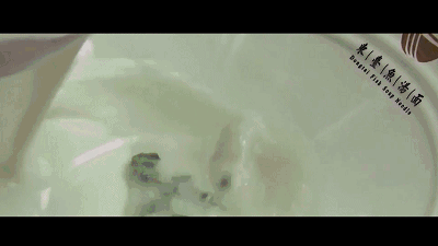 新年游玩线路：老自一条，老己一条，自己一条