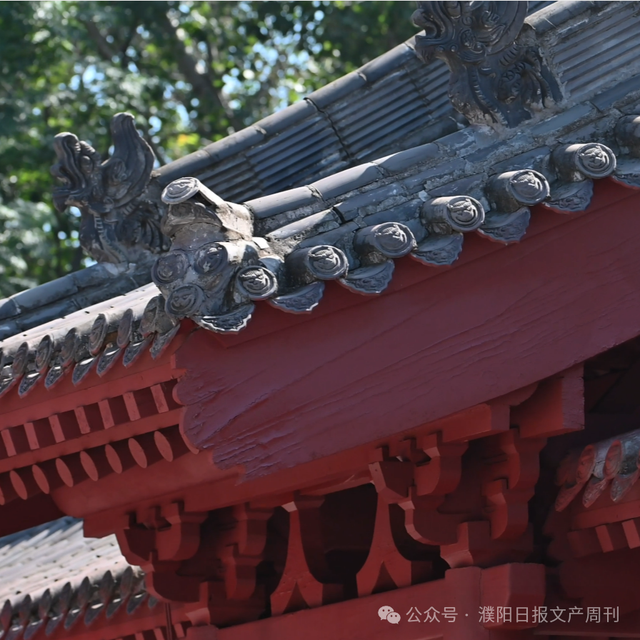 濮阳再添一家新景区！系全省唯一！