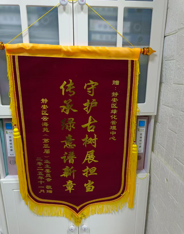 全市首个！静安这个商圈旁，竟藏着居民区里的“专业古树园”