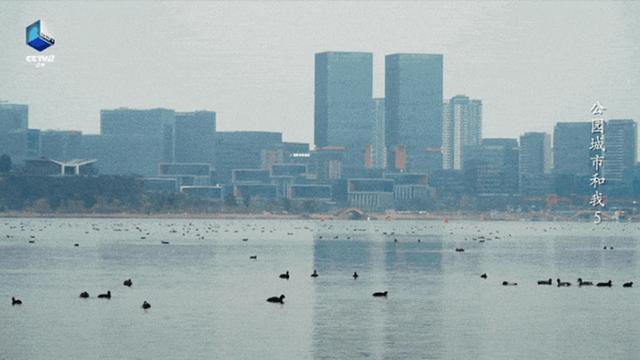 “生”动成都，跟着文学去打卡