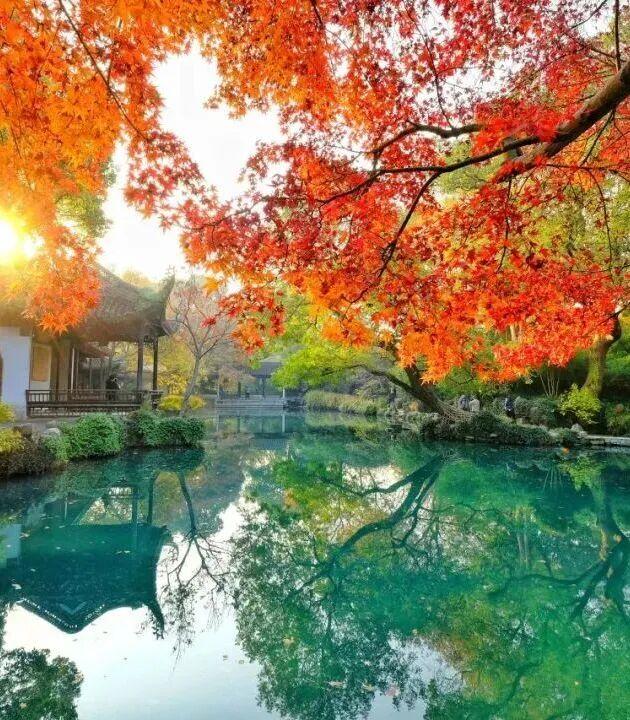 你手里的票根，又升值了！