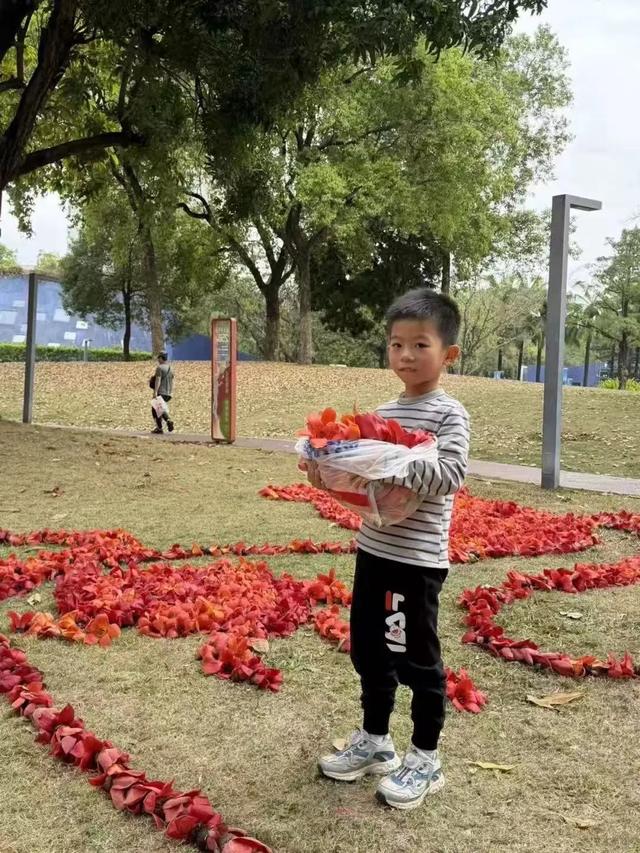 深圳公园的木棉花，开出了一匹“马”！
