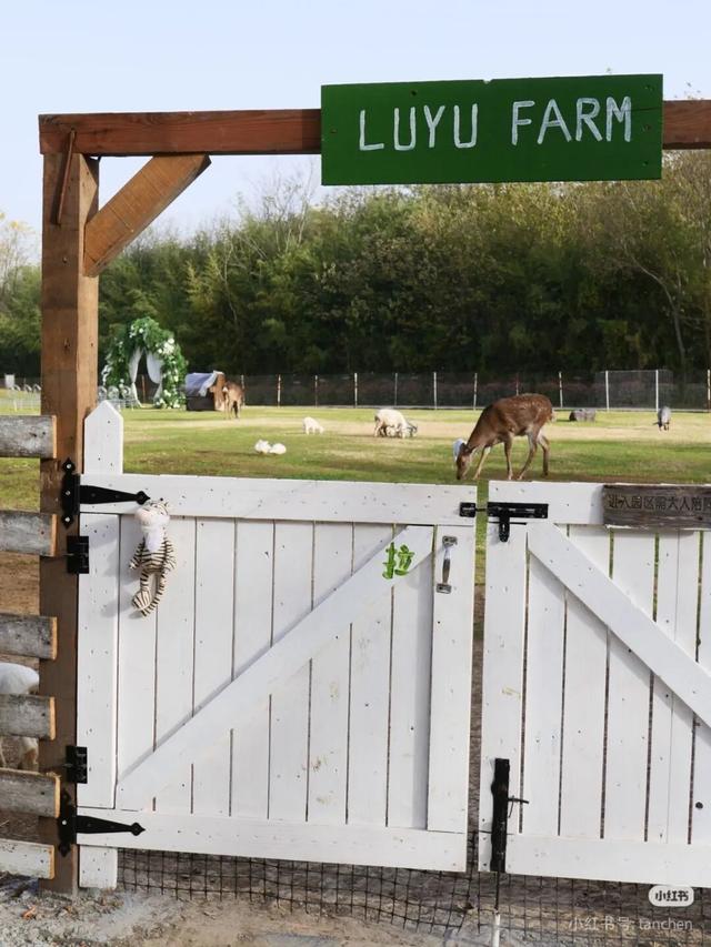 江宁初冬亲子“三件套”→