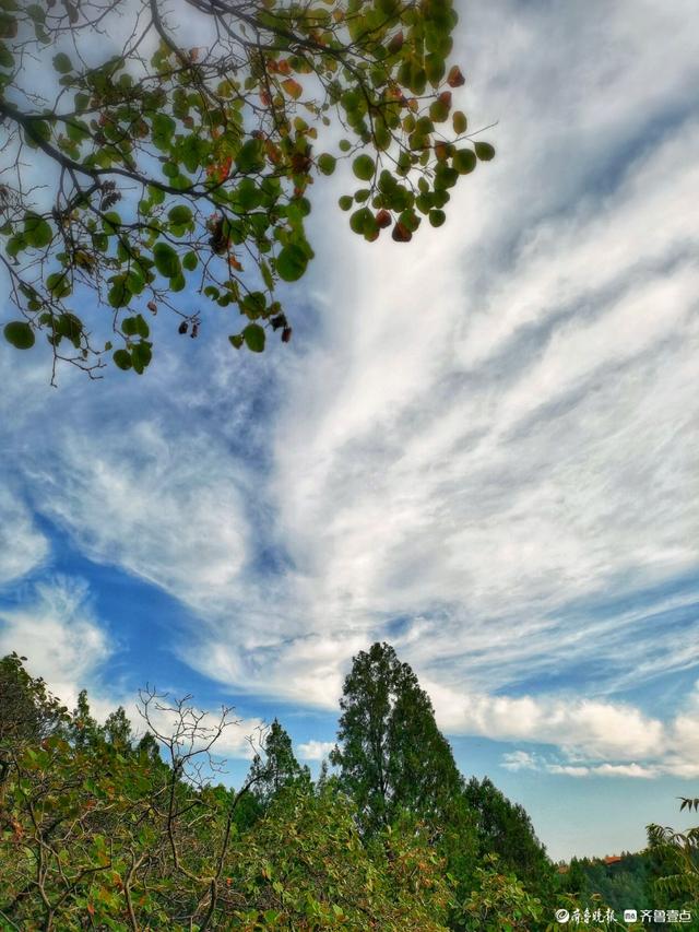 秋韵美景，蓝天白云下的济南英雄山