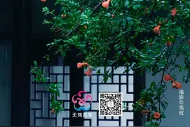 今起下调部分车辆高速通行费图片