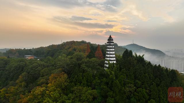 C视觉丨藏不住了 阆中冬日绝美日出，白塔、水杉、晨雾同框 画面太治愈
