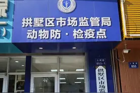 过年了想带宠物回家，它们可以上飞机吗？需要办理什么？图片