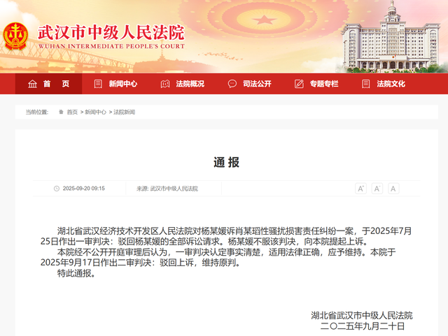 武汉中院作出二审判决：驳回杨某媛的上诉，维持原判