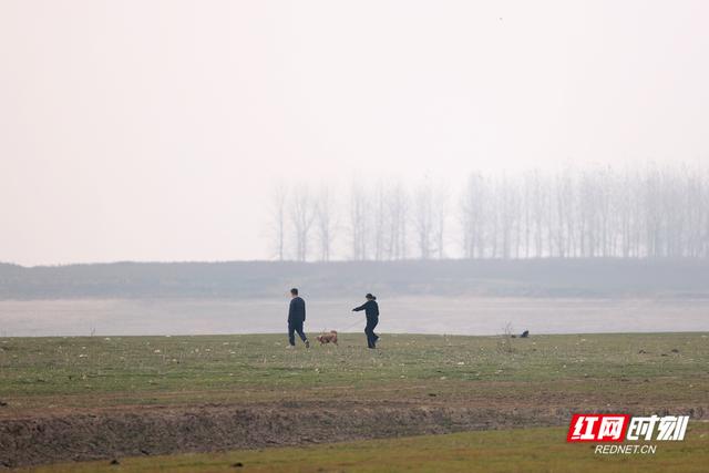 大美红图丨湘江枯水河床成市民活动“新场所”