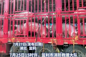 运输途中“二师兄”中暑变红，湖北监利消防员为其紧急喷水降温图片
