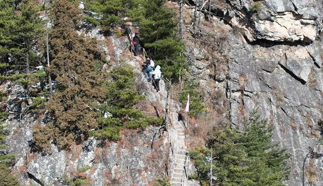 来太白山探寻丛林秘境，感受冰火两重天