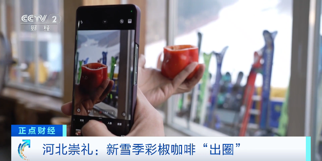 冬游张家口・激情冰雪季｜张家口滑雪场系列推荐（一）