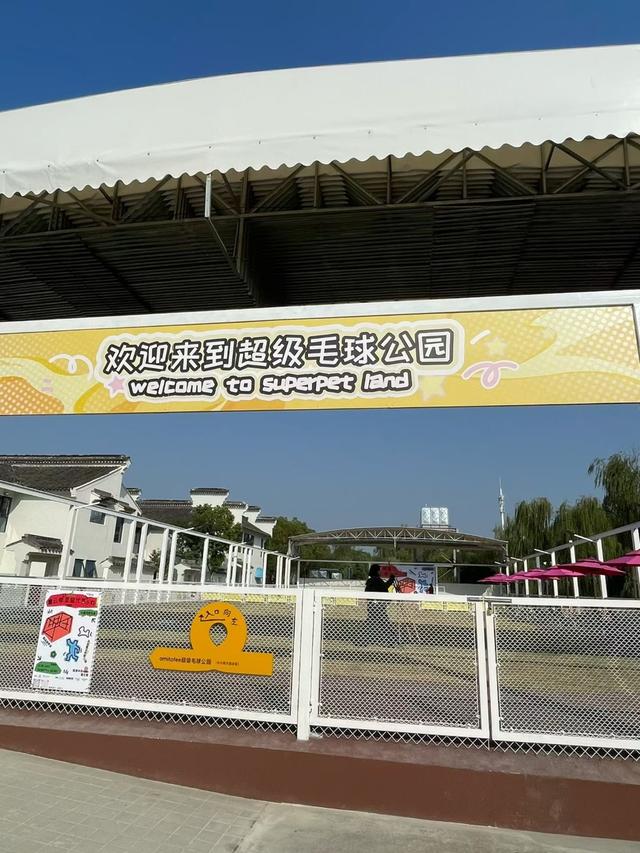 带着“毛孩子”去撒欢！长三角再添宠物友好度假新地标