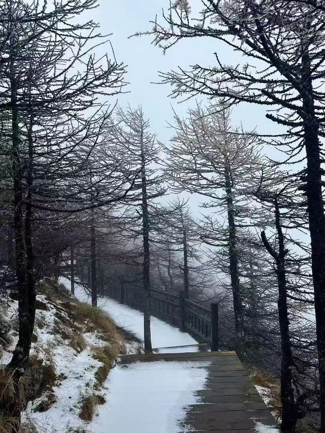 雪中太白山