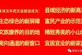 “青”学习丨团员教育评议和团支部“对标定级”操作细则图片