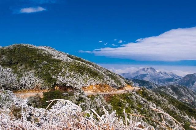 梯田、银杏、枫叶……跟着广东旅游文化节打卡清远“限定”美景