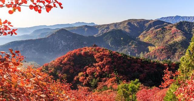 倒计时6天！“一城山色·登山打卡”以红叶为笺，邀您相约垛庄百峪大顶！