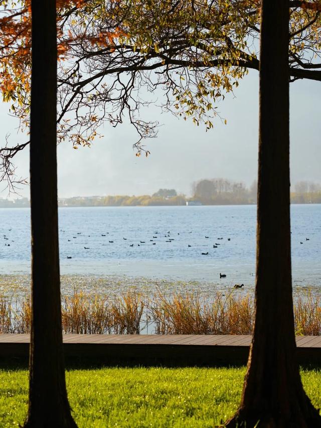 初冬的大理是这样的→