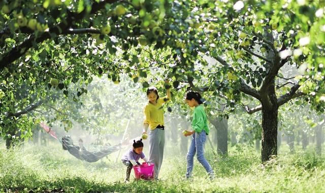 商丘：三条特色文旅线路，带你玩转木兰故里丨跟着豫排去旅行