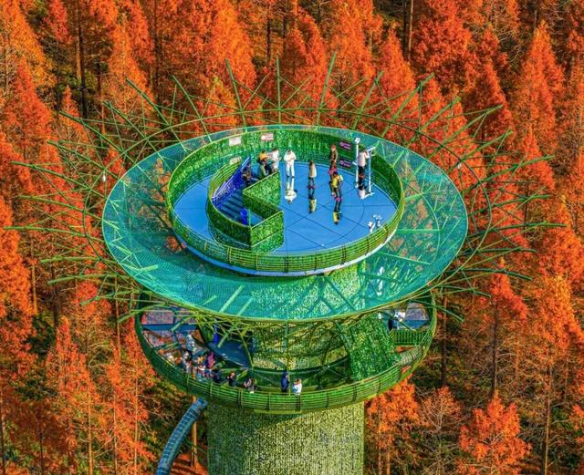 跨年，东台是认真的