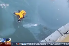 女孩在冰河中挣扎 “消防员真厉害，玩儿命救她呀！”图片