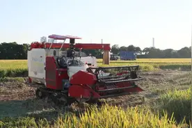 农机“黑科技”上线，广州黄埔38个品类亮相中国国际农产品交易会图片
