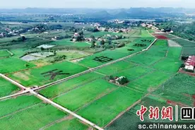 资阳雁江：产业园区化引领农业现代化图片