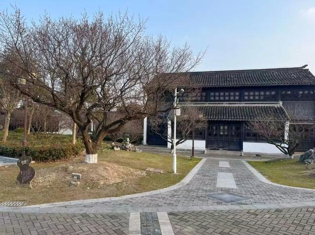 盐城春节活动第一波上新！