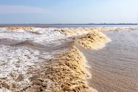 八月十八钱塘江潮将至，杭州官方提醒须高度重视观潮安全图片