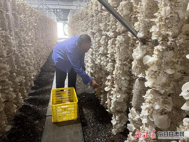 【渭水泱泱 大潮滂滂】温泉花海引客来 空中菌林织富路 探访渭河流域可持续发展的“清水模式”