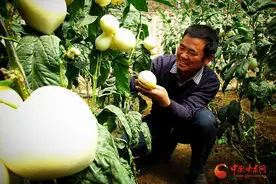 民勤：“地名品牌”奏响乡村振兴丰收乐章图片