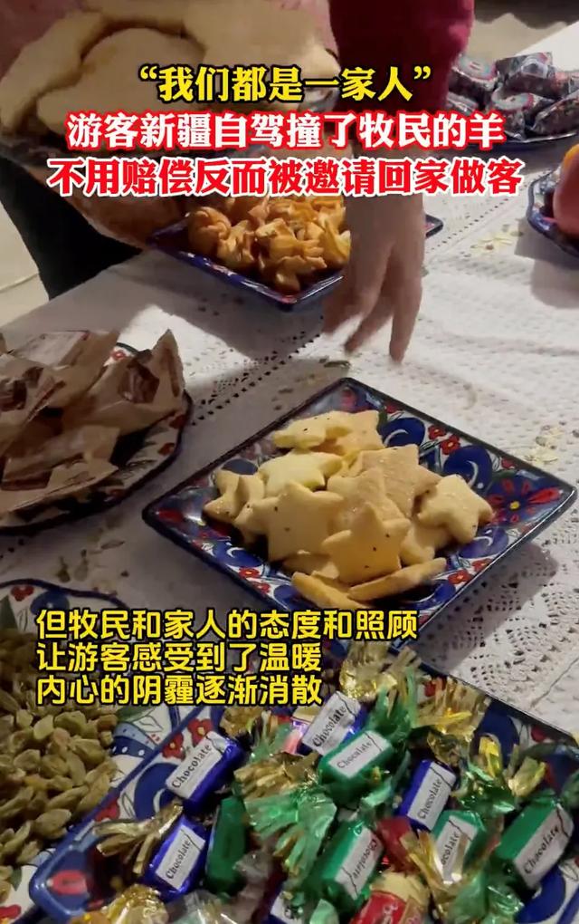 游客在阿勒泰自驾撞伤小羊，牧民：跟我走……