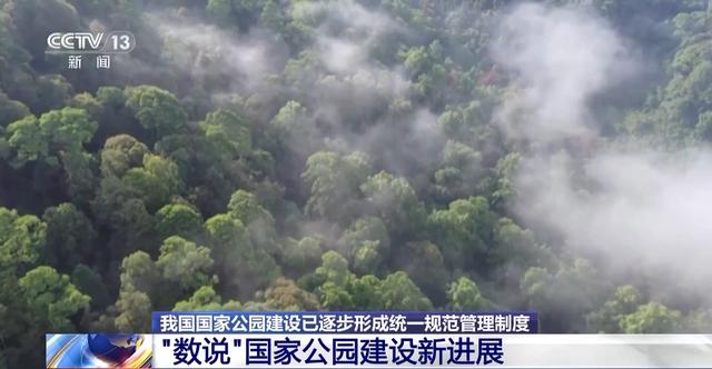 生命摇篮、绿色肺叶……万米高空看“大美国家公园”有啥亮点