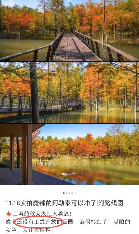 上海有个超美的新公园，未开先火！有人偷偷爬进去、溜进去、翻进去……太危险！