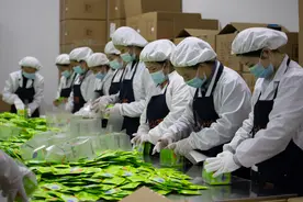 一年卖出上亿瓶丨冷泡茶的“热效应”图片