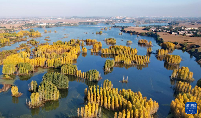 河北隆尧：初冬泜河风光秀美