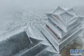 河南镇平：雾凇景观如画卷图片