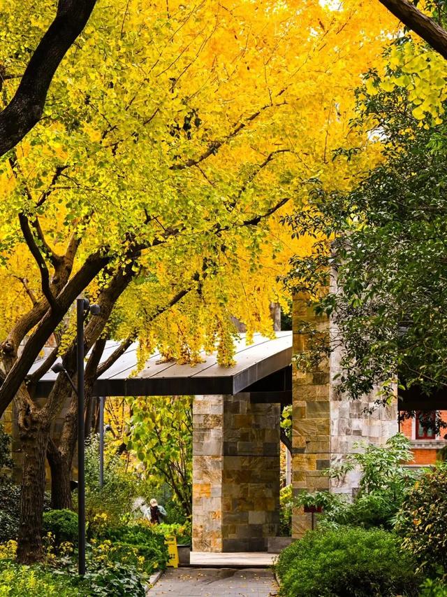 静安48小时漫游，打卡艺术苏河宝藏出片点丨域见上海 域见静安