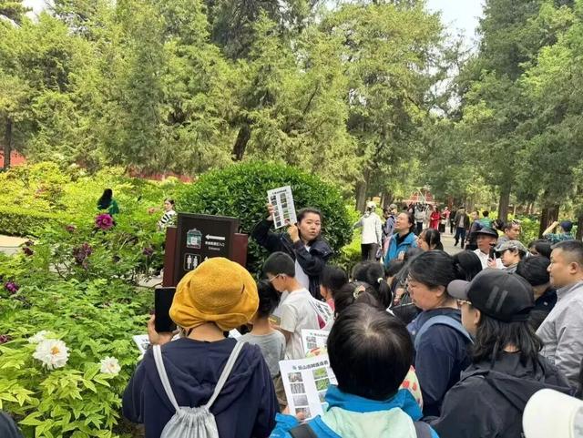 一场关于“景山”的古树自然课，触摸时光的形状，你来不？