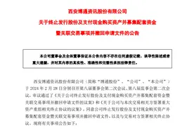 “陕西壳资源第一股”2.97亿收购终止图片