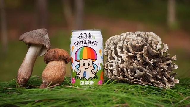楚雄的秋天要如何打开？赶紧收藏！