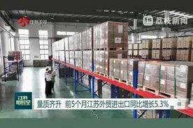 量质齐升 前5个月江苏外贸进出口同比增长5.3%图片