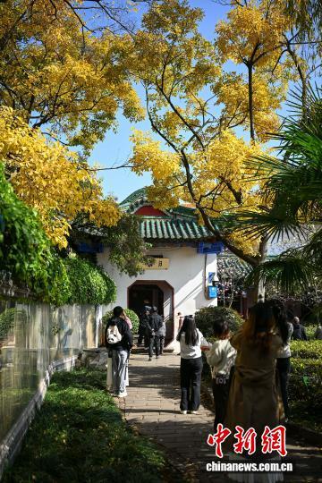 大雪节气云南昆明温暖如春