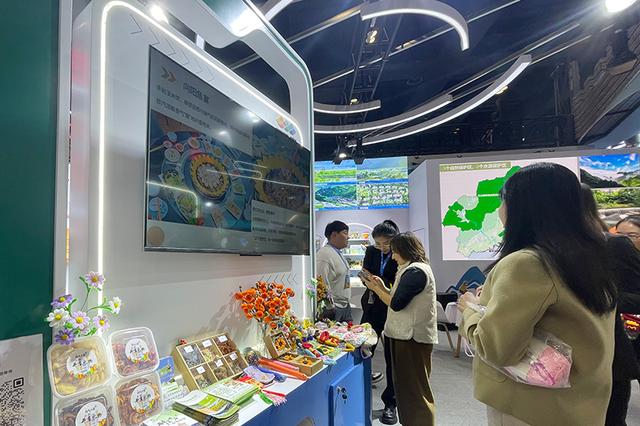 北京延庆推动养老服务与文旅等产业融合 打造京津冀旅居康养品牌