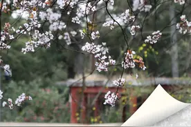 早安春城|重要提醒！这段时间，暂停医保服务图片